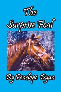 Cover image for The Surprise Foal