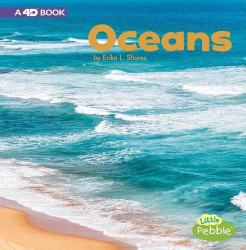 Cover image for Oceans: a 4D Book (Bodies of Water)