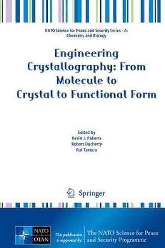 Cover image for Engineering Crystallography: From Molecule to Crystal to Functional Form