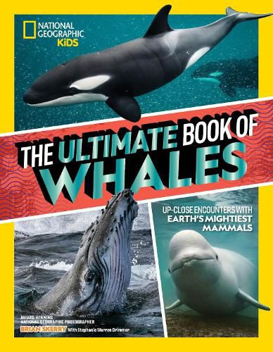 Cover image for The Ultimate Book of Whales