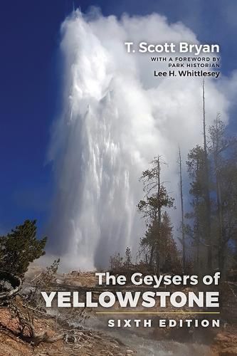 Cover image for The Geysers of Yellowstone