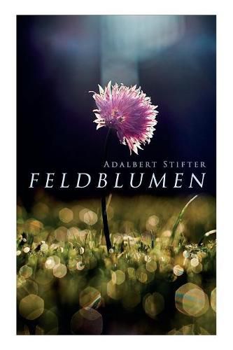 Feldblumen