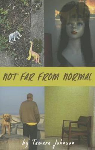 Cover image for Not Far from Normal