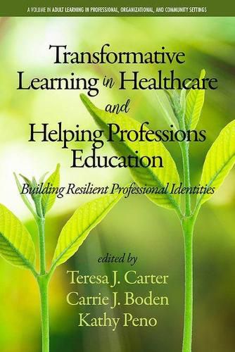 Transformative Learning in Healthcare and Helping Professions Education: Building Resilient Professional Identities