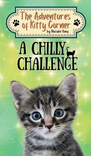 Cover image for A Chilly Challenge