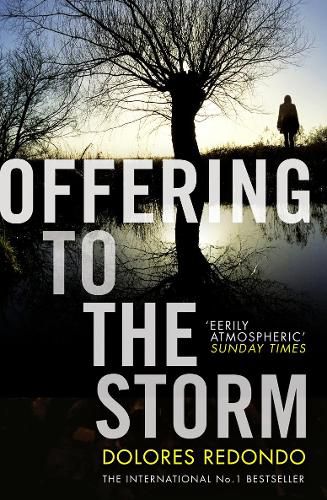 Cover image for Offering to the Storm