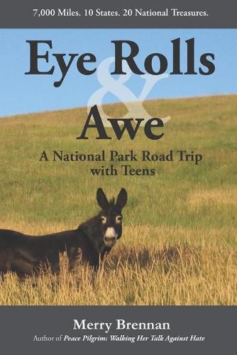 Cover image for Eye Rolls & Awe: A National Park Road Trip with Teens