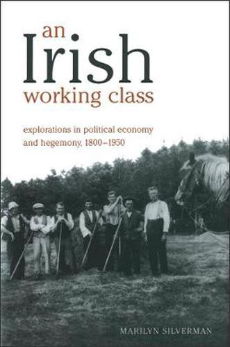 Cover image for An Irish Working Class: Explorations in Political Economy and Hegemony, 1800-1950