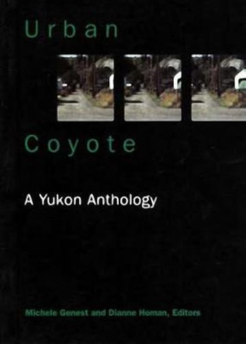 Cover image for Urban Coyote      A Yukon Anthology