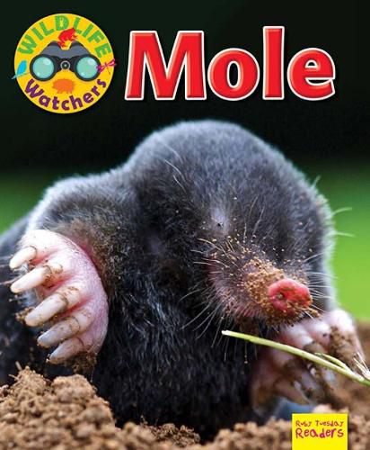 Cover image for Wildlife Watchers: Mole