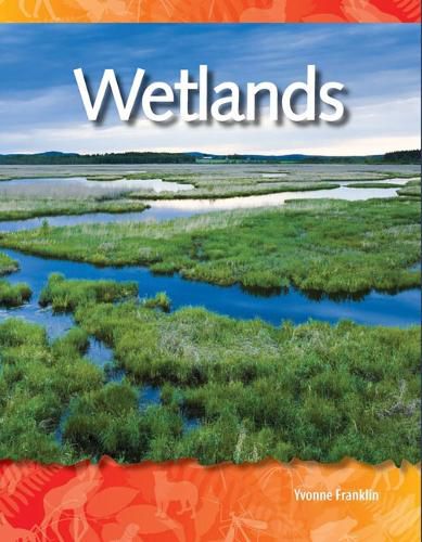 Cover image for Wetlands