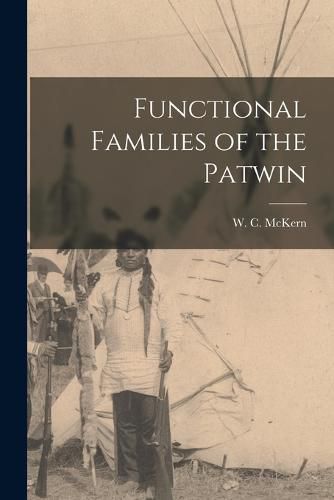 Cover image for Functional Families of the Patwin