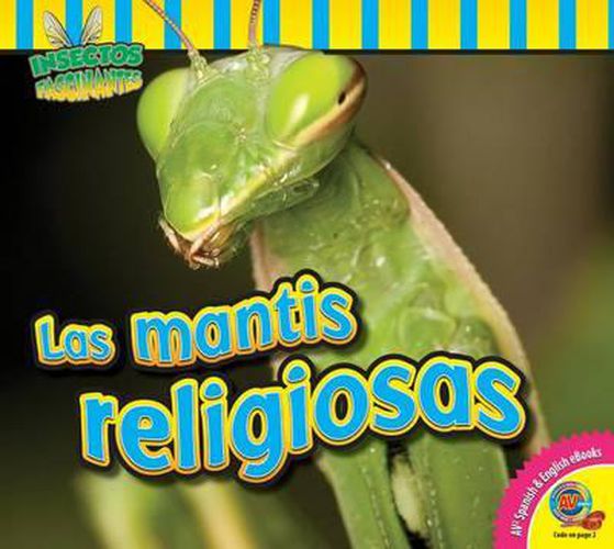 Cover image for Las Mantis Religiosas