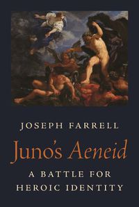Cover image for Juno's Aeneid