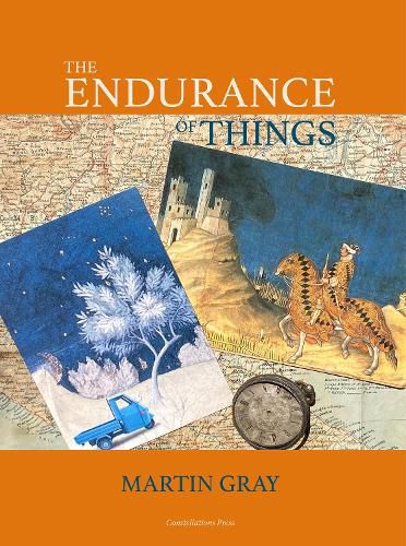 Cover image for The Endurance of Things