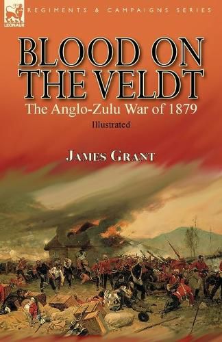 Cover image for Blood on the Veldt: the Anglo-Zulu War of 1879