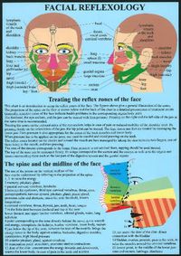 Cover image for Facial Reflexology -- A4