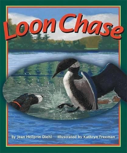 Loon Chase