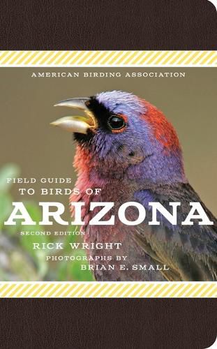 Cover image for American Birding Association Field Guide to Birds of Arizona