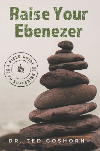 Cover image for Raise Your Ebenezer