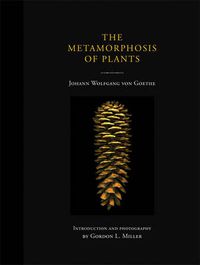 Cover image for The Metamorphosis of Plants