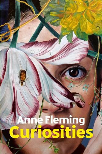 Cover image for Curiosities