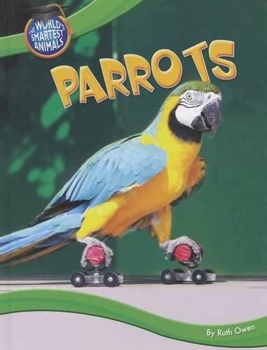 Cover image for Parrots