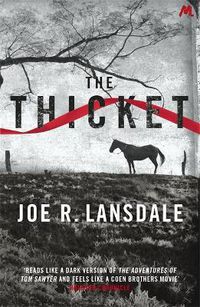 Cover image for The Thicket