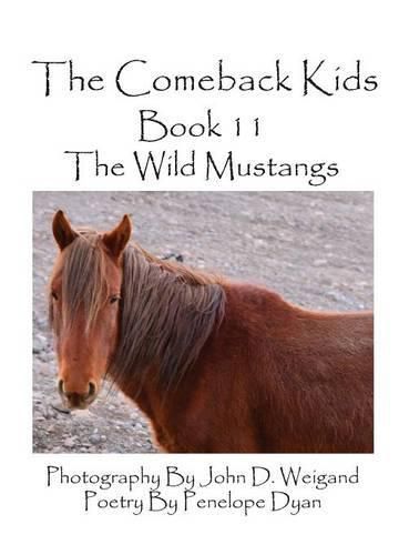 Cover image for The Comeback Kids--Book 11--The Wild Mustangs