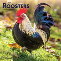 Cover image for Roosters 2020 Square