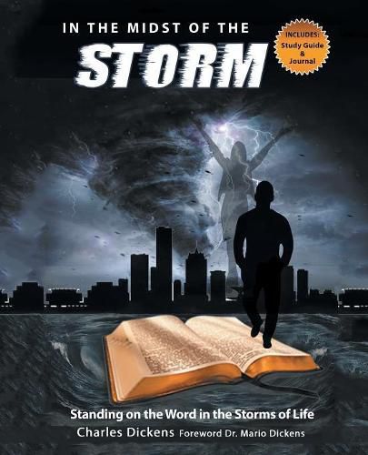 Cover image for In the Midst of the Storm