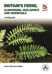 Cover image for Britain's Ferns: A Field Guide to the Clubmosses, Quillworts, Horsetails and Ferns of Great Britain and Ireland