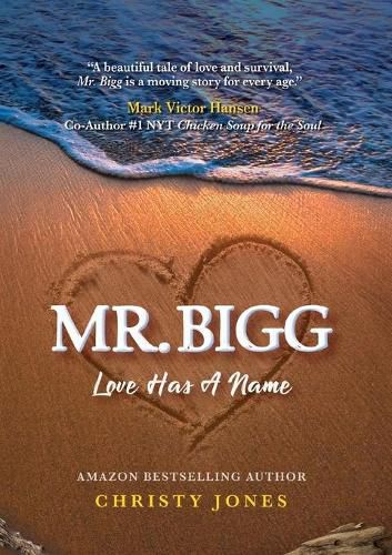 Cover image for Mr. Bigg: Love Has a Name