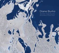 Cover image for Diane Burko: Bearing Witness to Climate Change