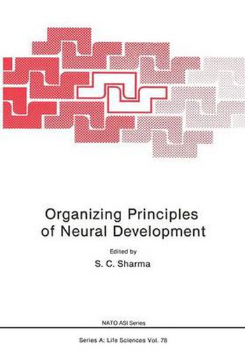 Organizing Principles of Neural Development