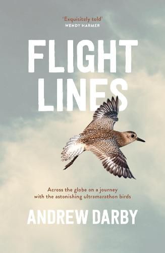 Cover image for Flight Lines