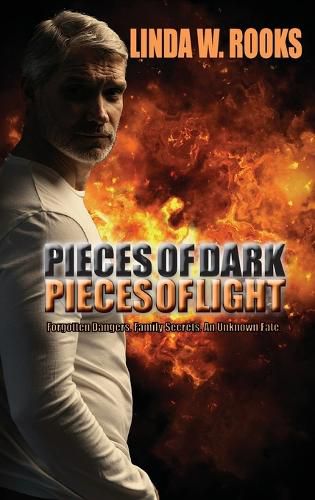 Cover image for Pieces of Dark, Pieces of Light