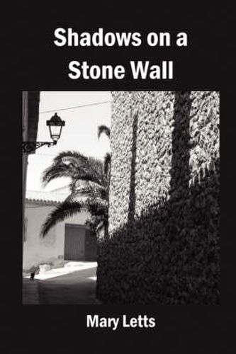 Cover image for Shadows on a Stone Wall