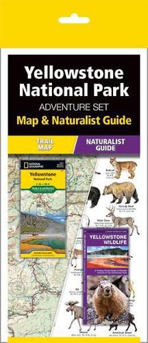 Cover image for Yellowstone National Park Adventure Set