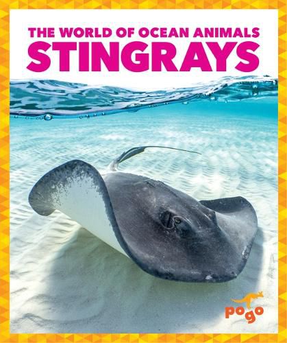 Cover image for Stingrays