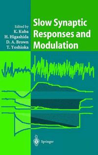 Cover image for Slow Synaptic Responses and Modulation