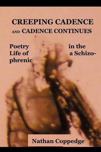 Cover image for Creeping Cadence and Cadence Continues