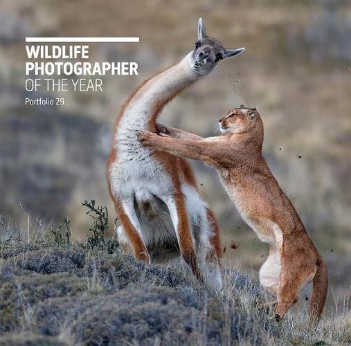 Cover image for Wildlife Photographer of the Year: Portfolio 29