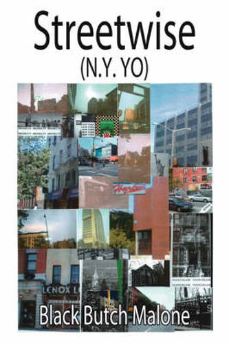 Cover image for Streetwise: (N.Y. Yo)