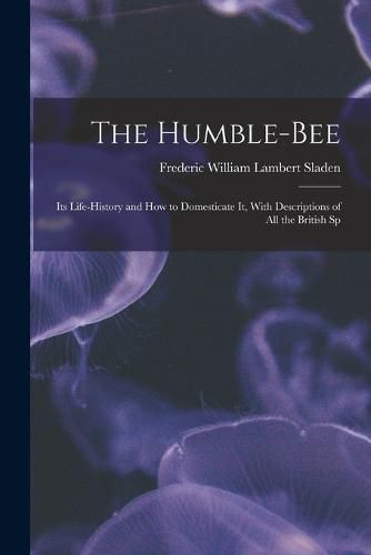 The Humble-bee