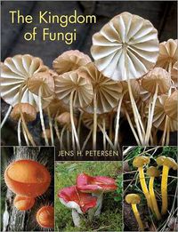 Cover image for The Kingdom of Fungi