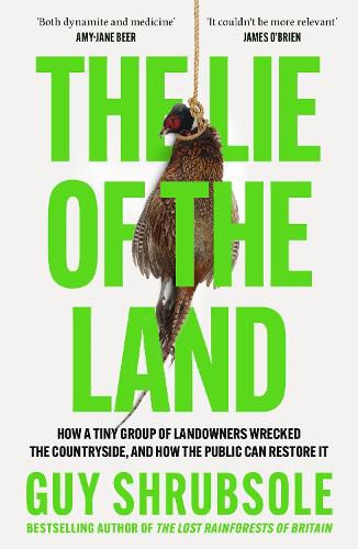 Cover image for The Lie of the Land