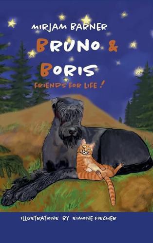 Cover image for Bruno & Boris Friends for life