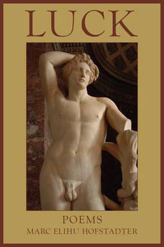 Cover image for Luck