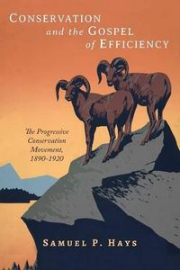 Cover image for Conservation and the Gospel of Efficiency: The Progressive Conservation Movement, 1890-1920